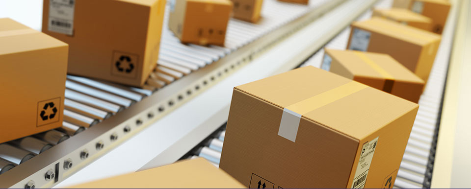 Packaging CE Certificate