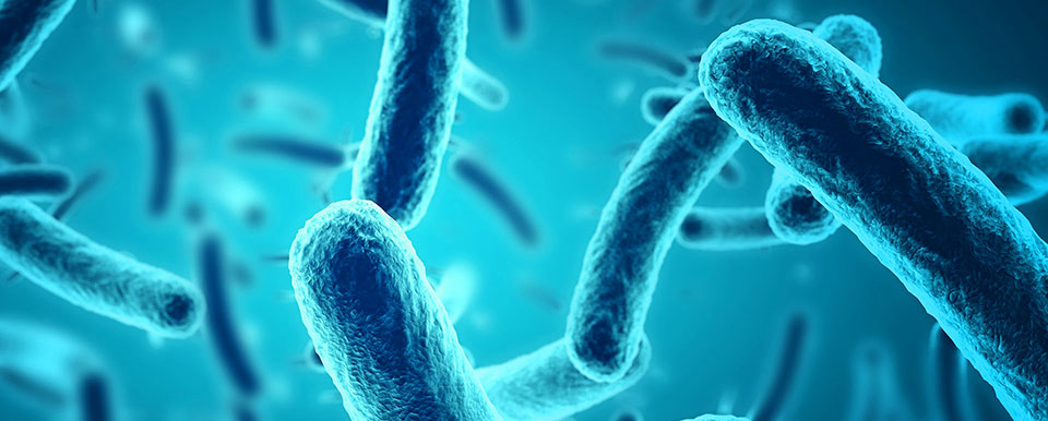 Hvorfor utføres bakteriefiltreringseffektivitetstest?
