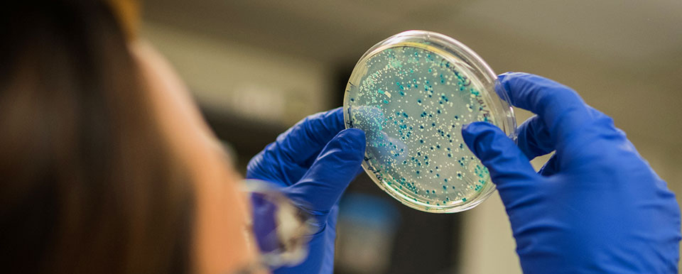 Bacterial Filtration Efficiency Tests